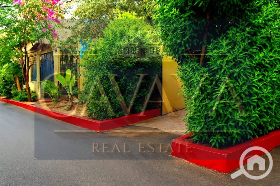 10 Untitled design (10). png