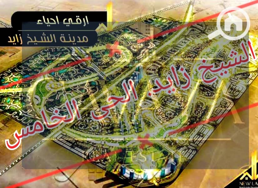 12 Untitled design (12). png