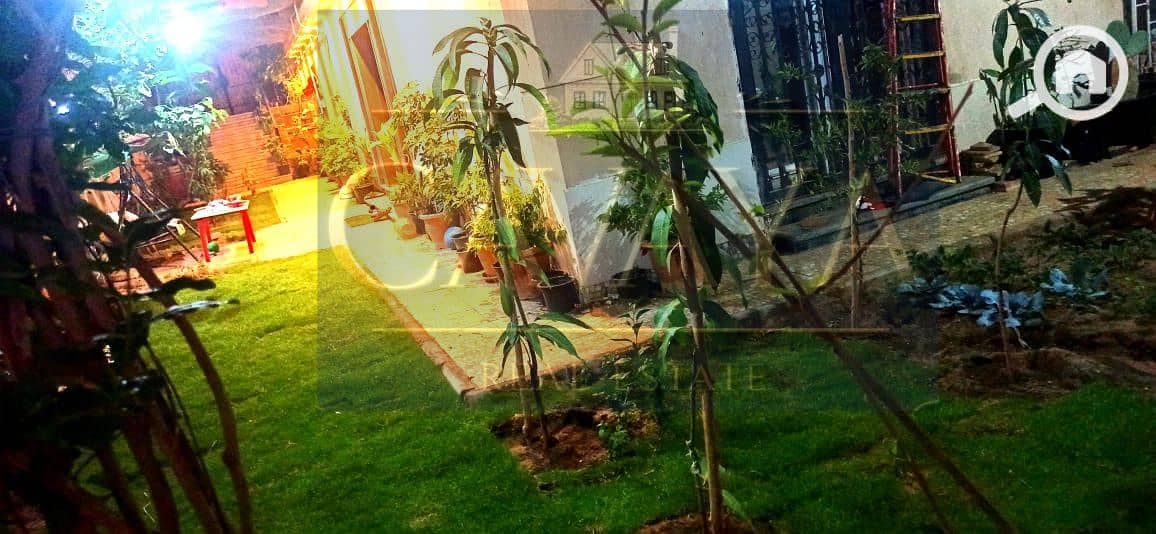 17 Untitled design (19). png