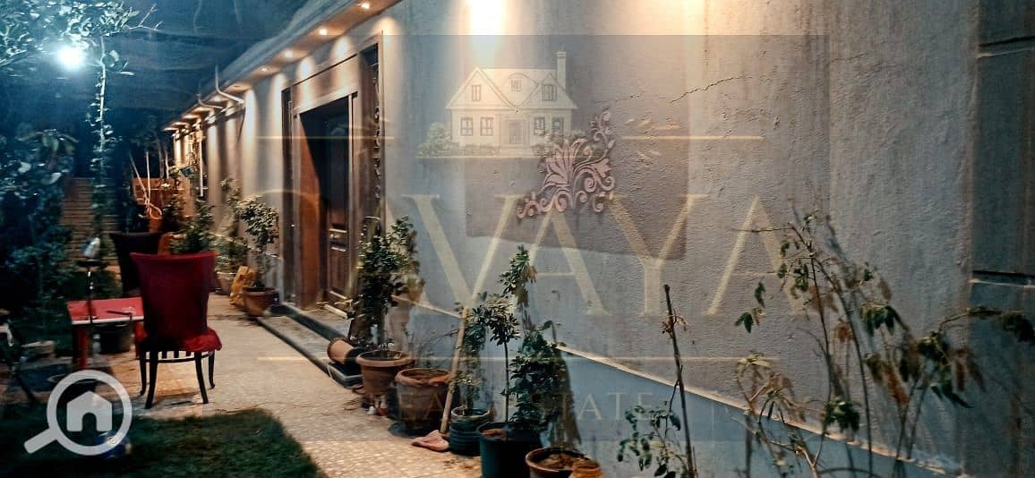 19 Untitled design (23). png