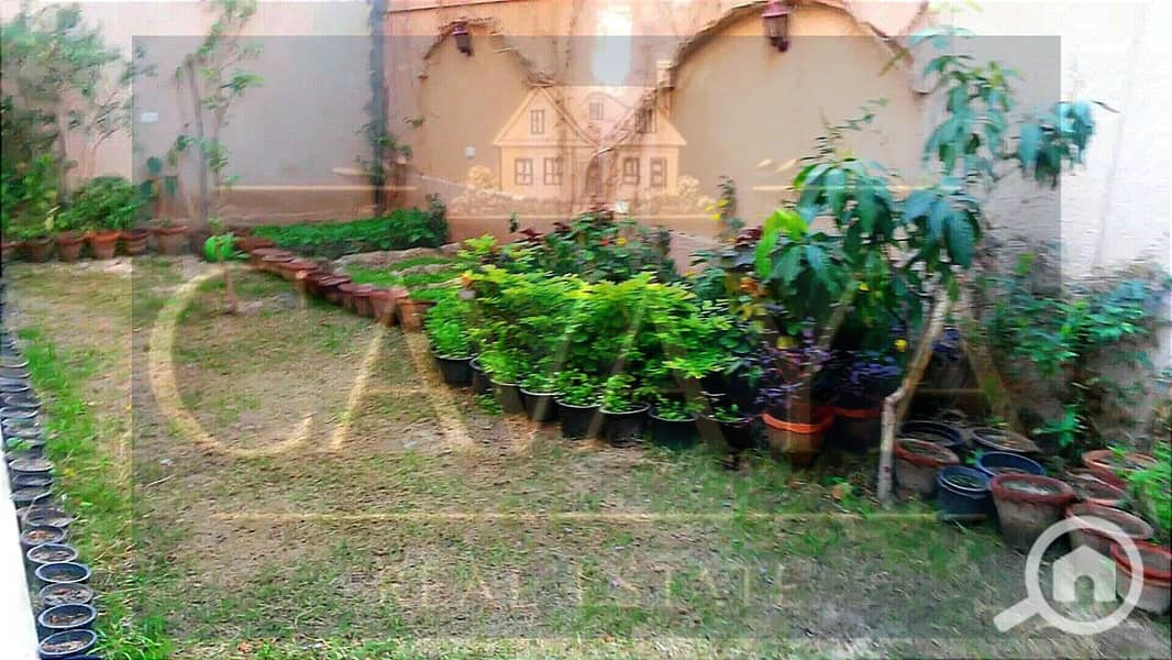 20 Untitled design (25). png