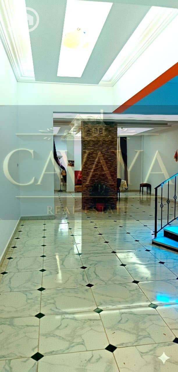 23 Untitled design (31). png