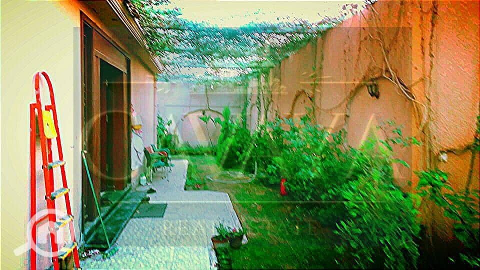 24 Untitled design (32). png