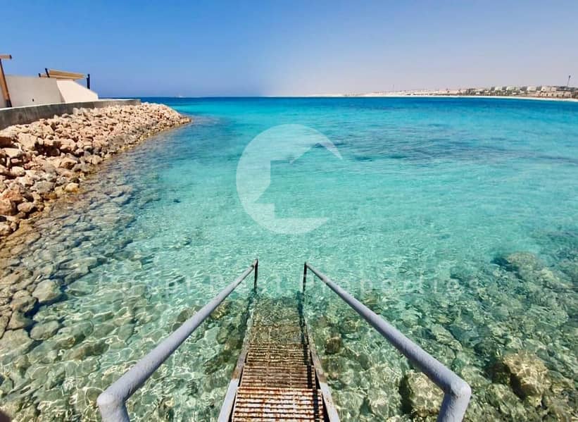 10 WhatsApp Image 2021-06-27 at 12.23. 00 PM (1). jpeg