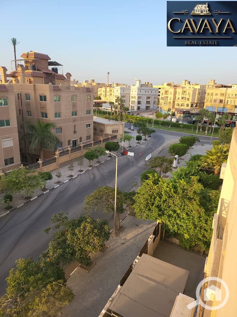 7 Untitled design (7). png