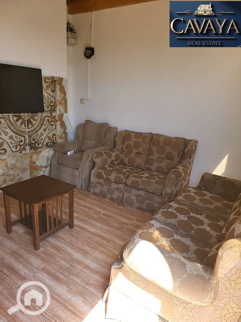 10 Untitled design (10). png