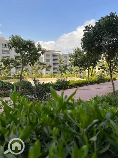 فلیٹ 3 غرف نوم للبيع في مدينة المستقبل، القاهرة - WhatsApp Image 2025-11-19 at 5.03. 16 PM (3). jpeg فلیٹ 3 غرف نوم للبيع في مدينة المستقبل، القاهرة - WhatsApp Image 2025-11-19 at 5.03. 16 PM (3). jpeg