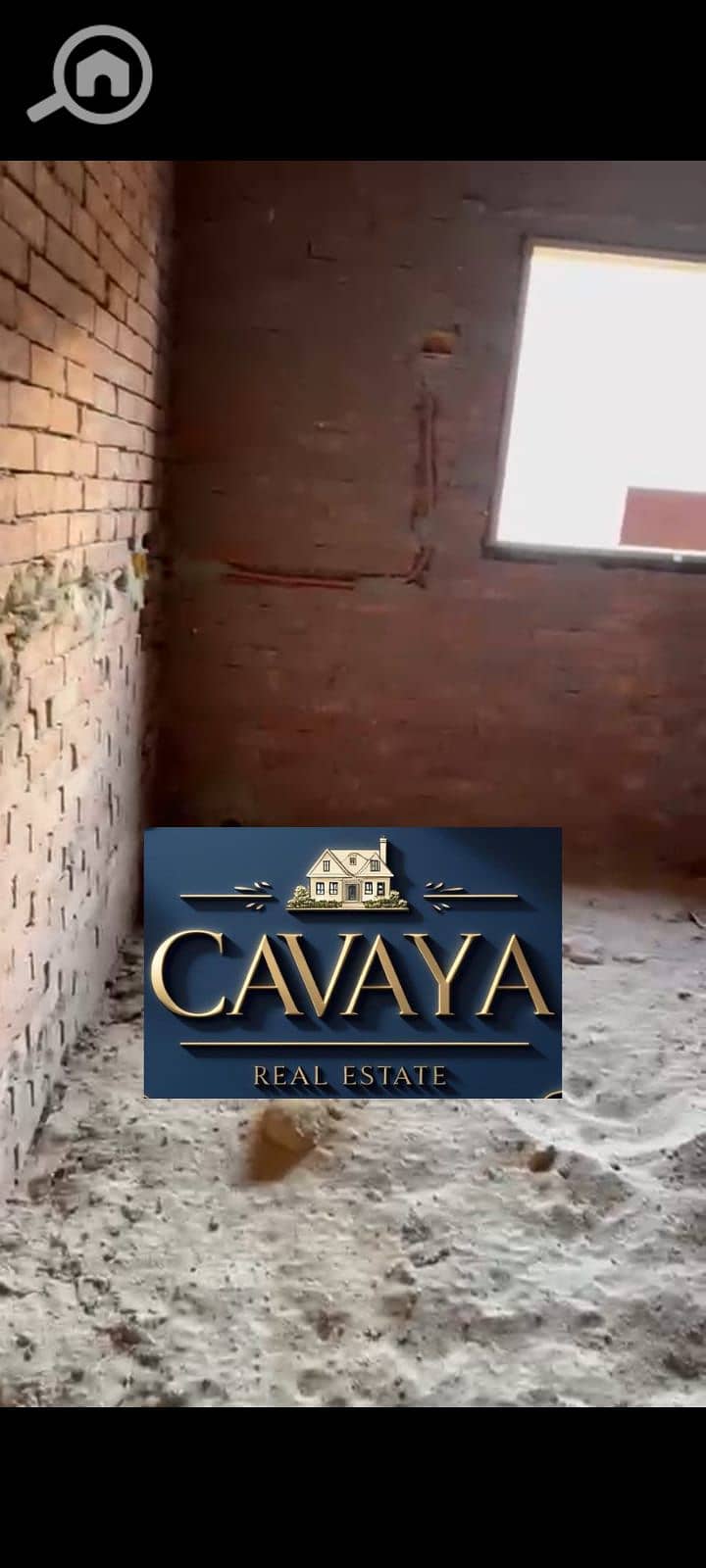 11 Untitled design (10). png