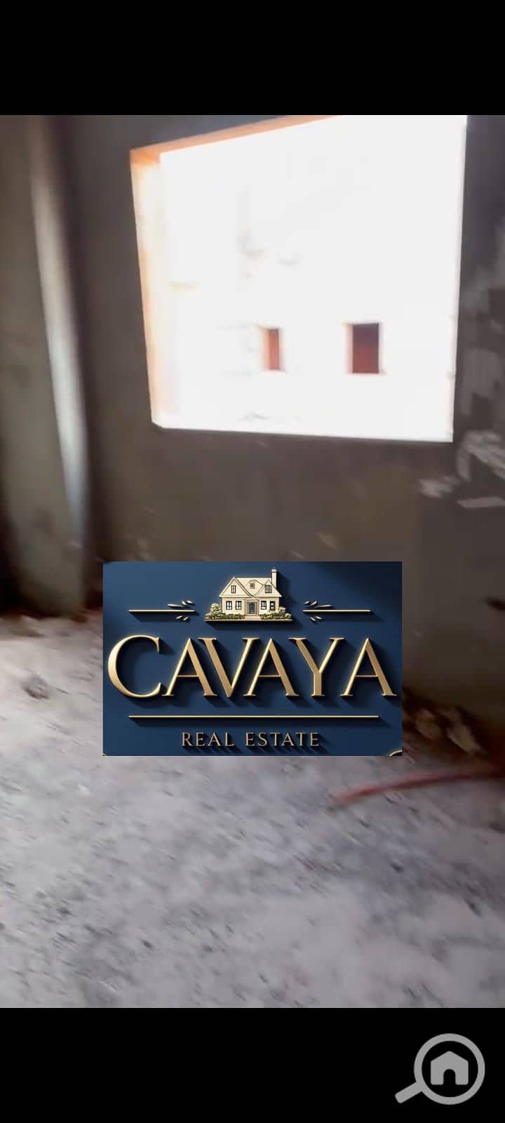 12 Untitled design (11). png