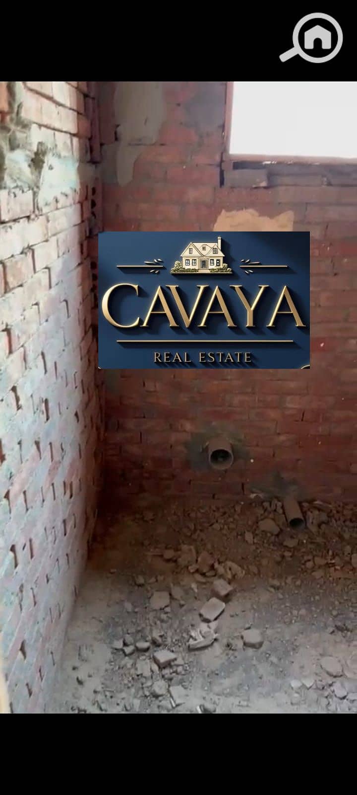 13 Untitled design (12). png