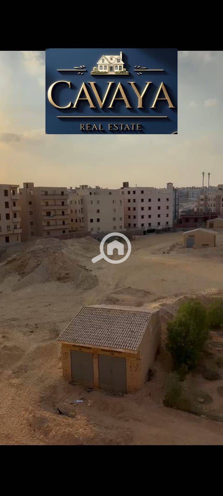 15 Untitled design (14). png