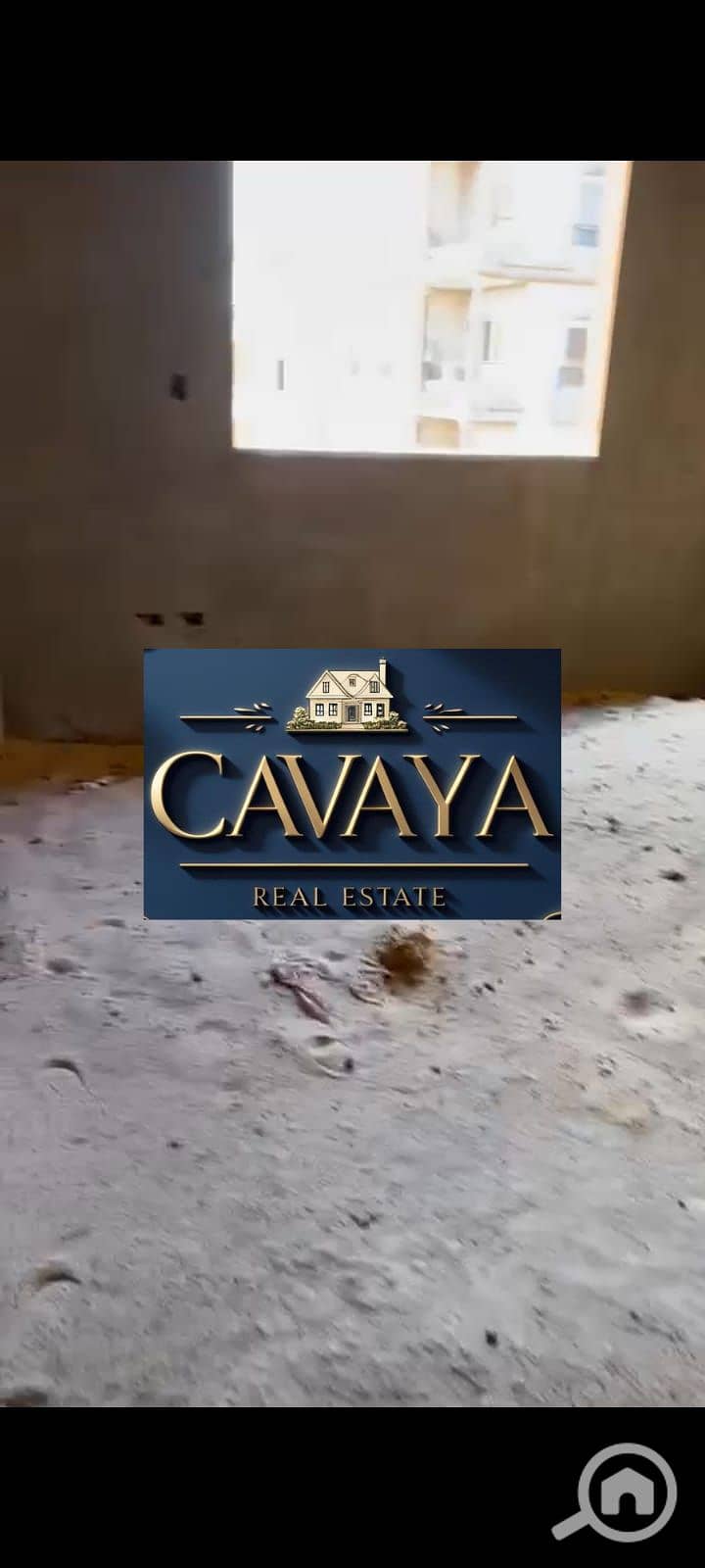 16 Untitled design (15). png