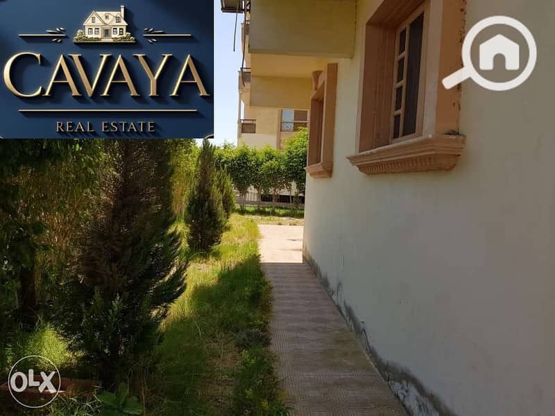 9 Untitled design (9). png