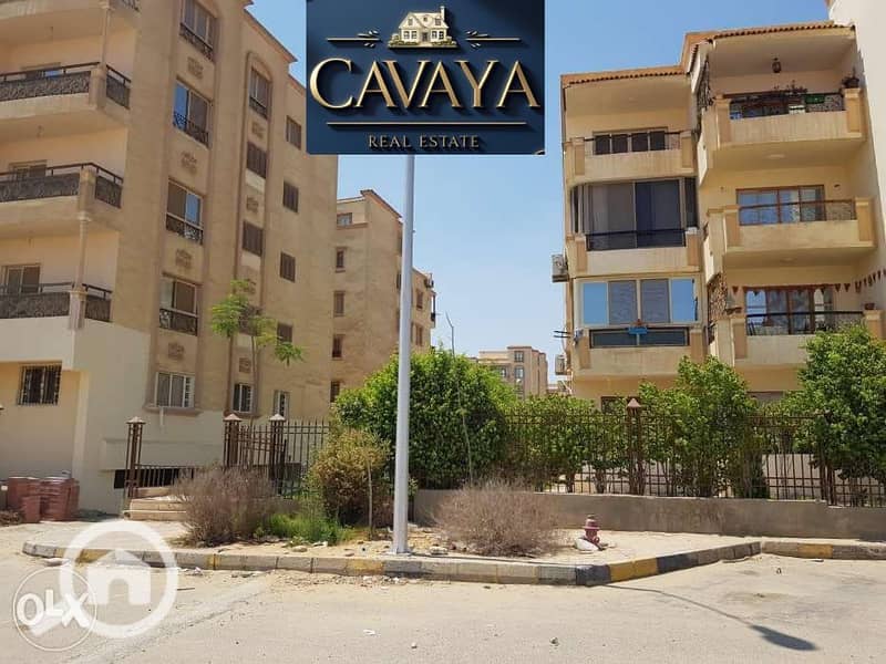 14 Untitled design (14). png