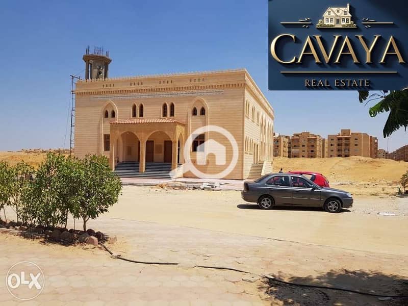 15 Untitled design. png