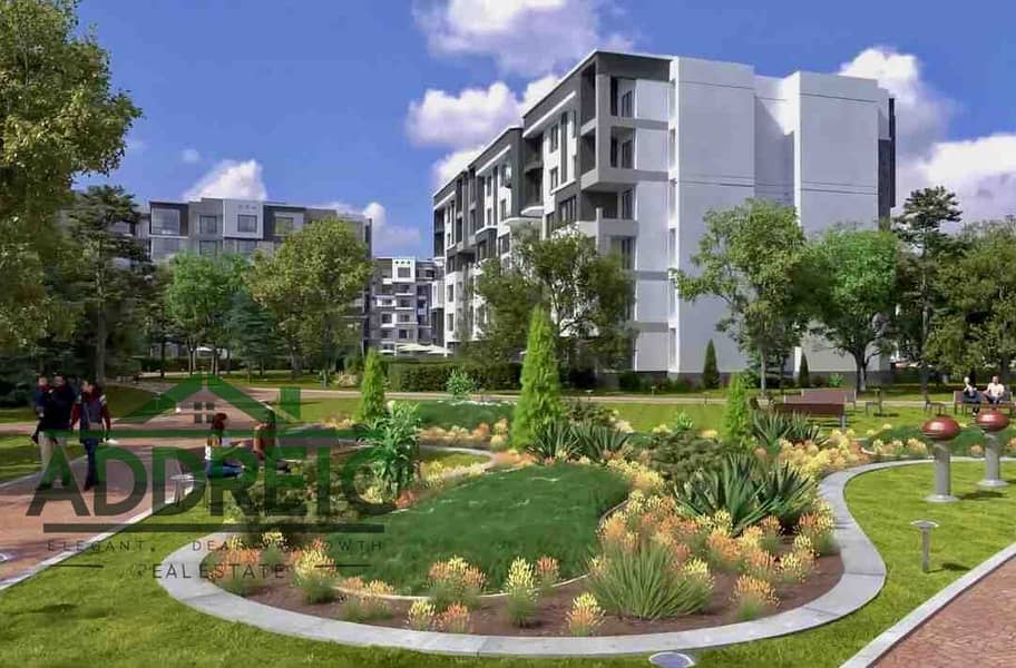 2 alessamy_b14-madinaty_(1)_38608. jpg