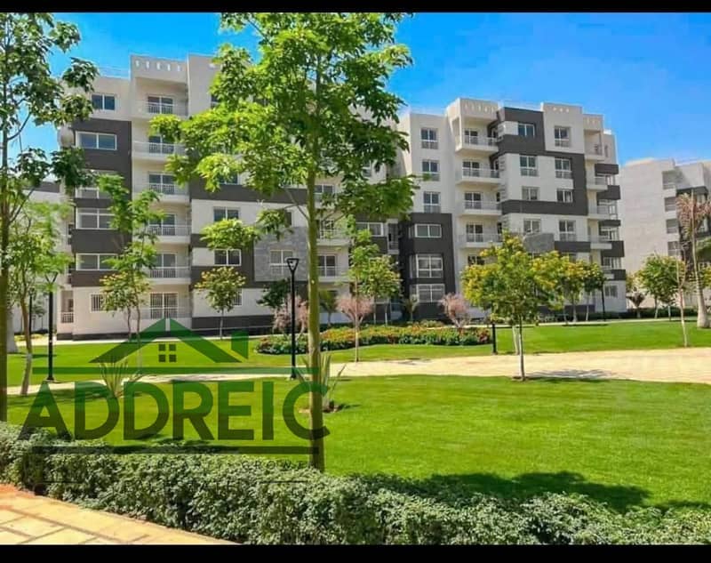 5 temp811096235683621204. jpg