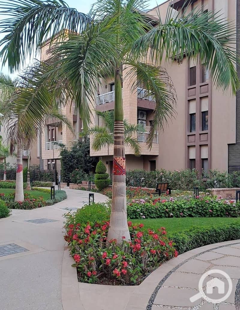 2 WhatsApp Image 2025-09-29 at 15.49. 25_d3611a67. jpg