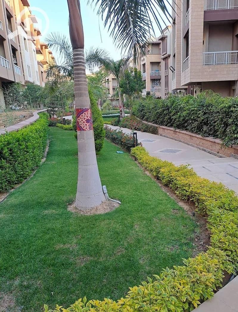 5 WhatsApp Image 2025-09-29 at 15.49. 28_45a18bb4. jpg