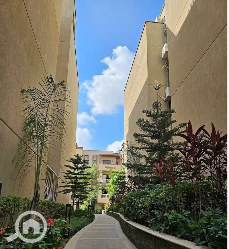 6 WhatsApp Image 2025-09-29 at 15.49. 28_d9bc47c3. jpg