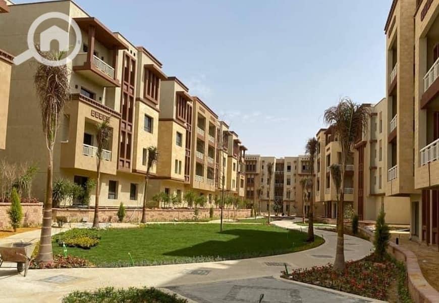 8 WhatsApp Image 2025-09-29 at 15.49. 29_bc0b728d. jpg