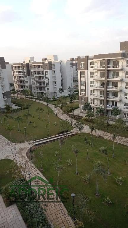 10 541244693 (1). jpg