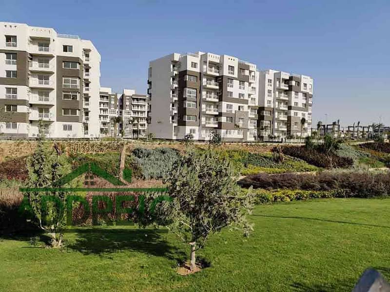 11 alessamy_b12_36399. jpg