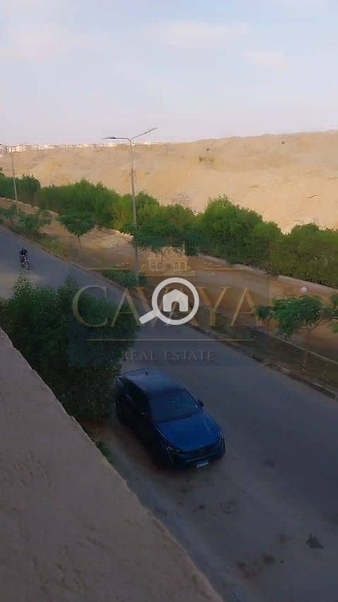 5 Untitled design (5). png