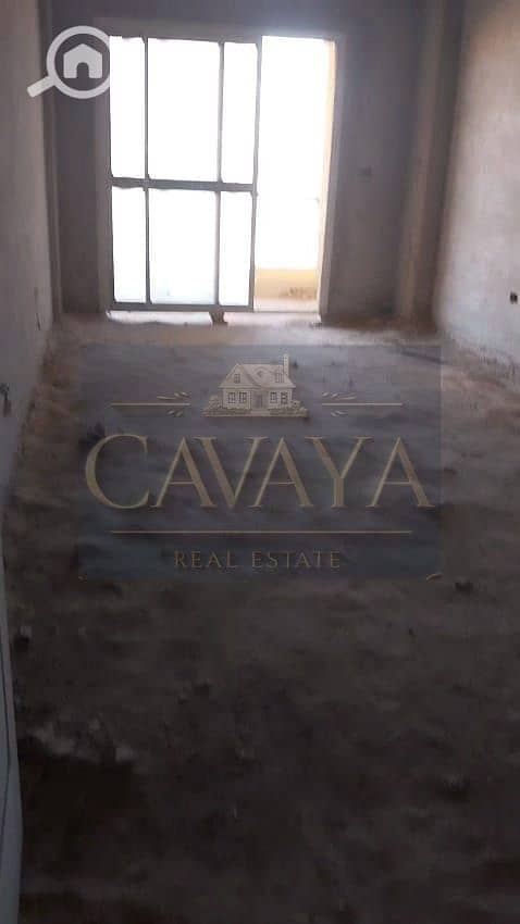 7 Untitled design. png