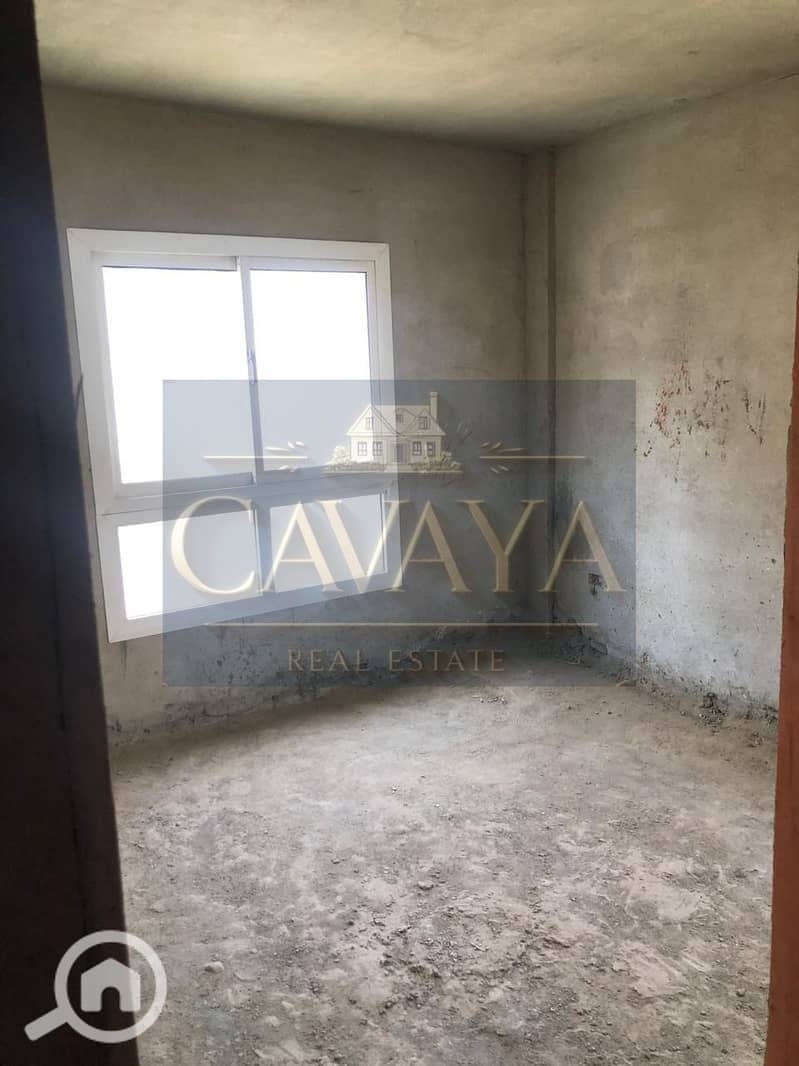 11 Untitled design (10). png