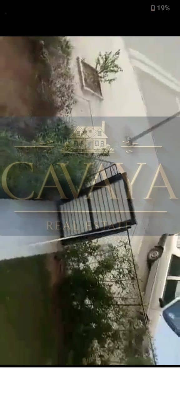 5 Untitled design (4). png