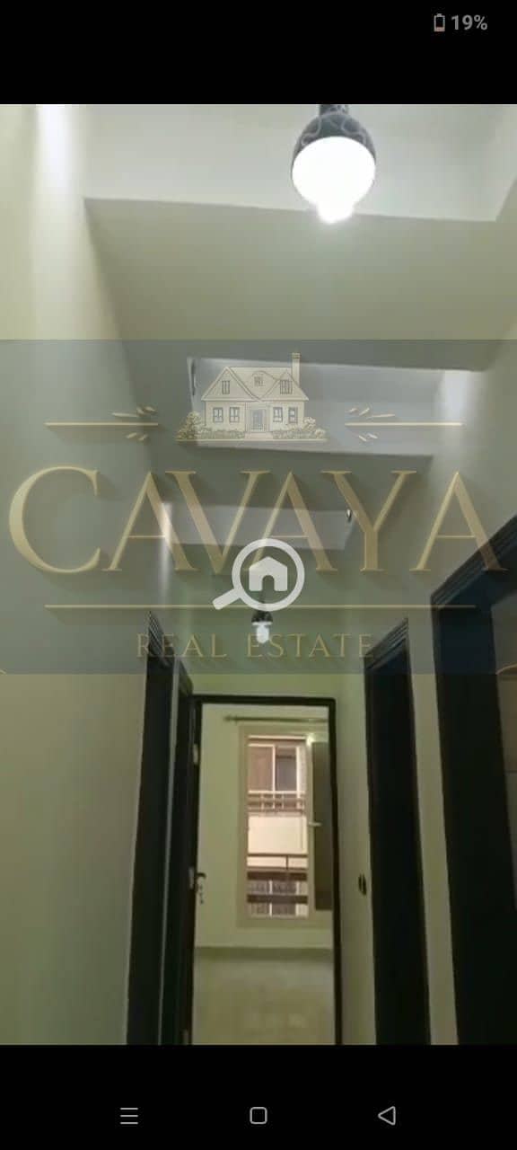 6 Untitled design (5). png