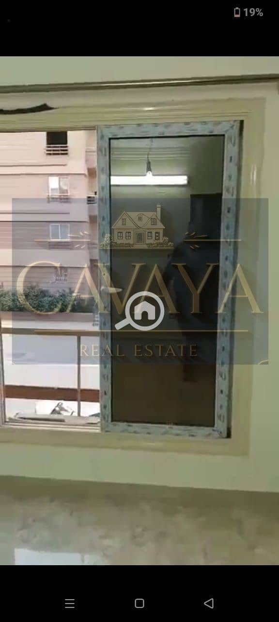 12 Untitled design (11). png