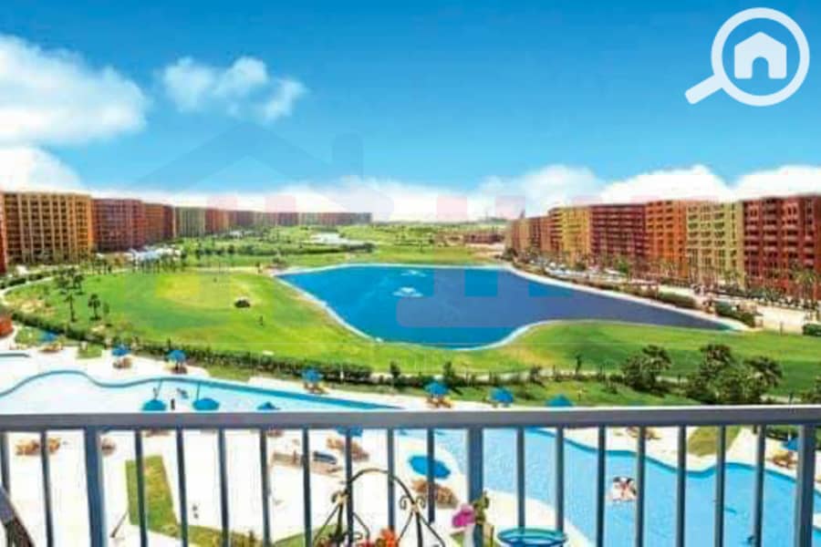 IMG-20241208-WA0011. jpg IMG-20241208-WA0011. jpg