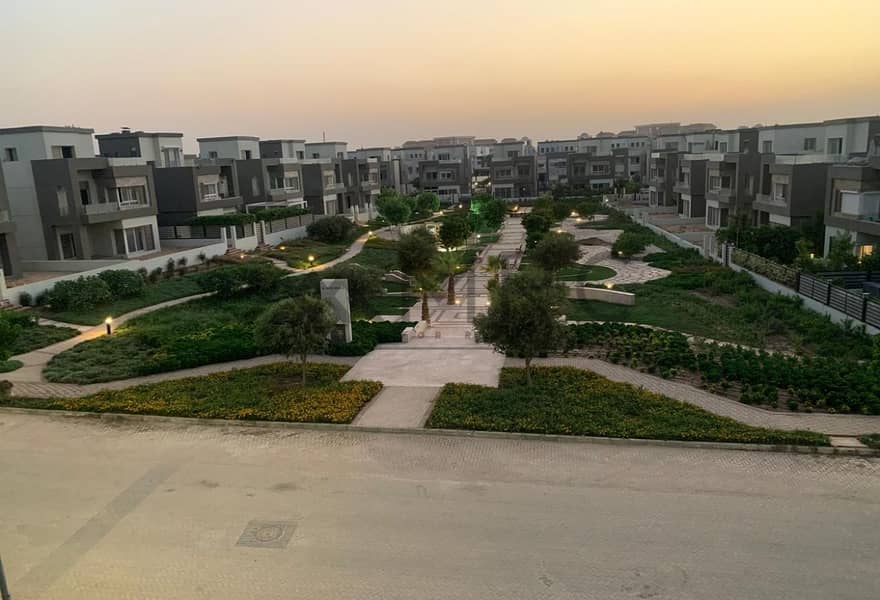 3 cea6721a-4e56-4137-ba37-4e522df11847. jpg