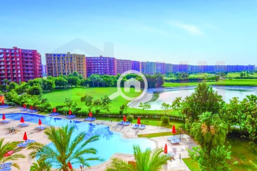 3 IMG-20241208-WA0012. jpg