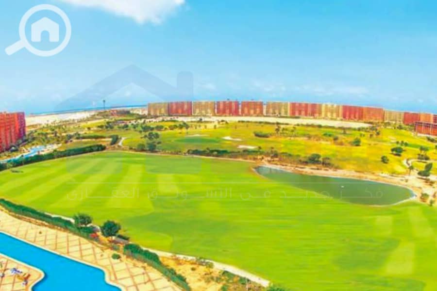 4 IMG-20241208-WA0014. jpg