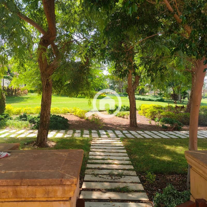 11 صورة واتساب بتاريخ 1446-03-13 في 14.19. 43_414f1993. jpg