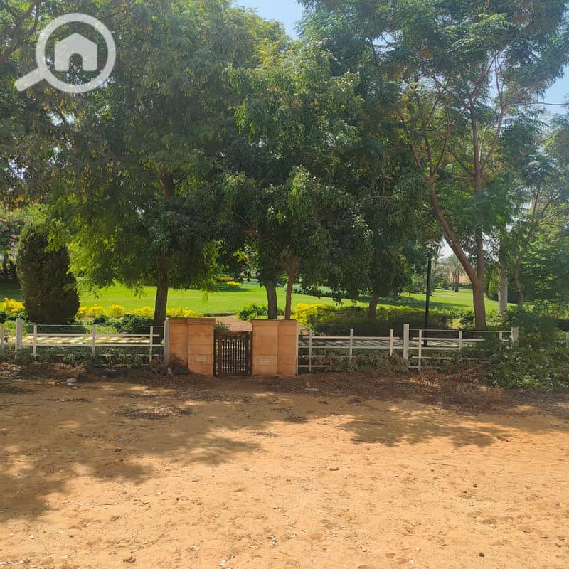 12 صورة واتساب بتاريخ 1446-03-13 في 14.19. 44_5652237c. jpg