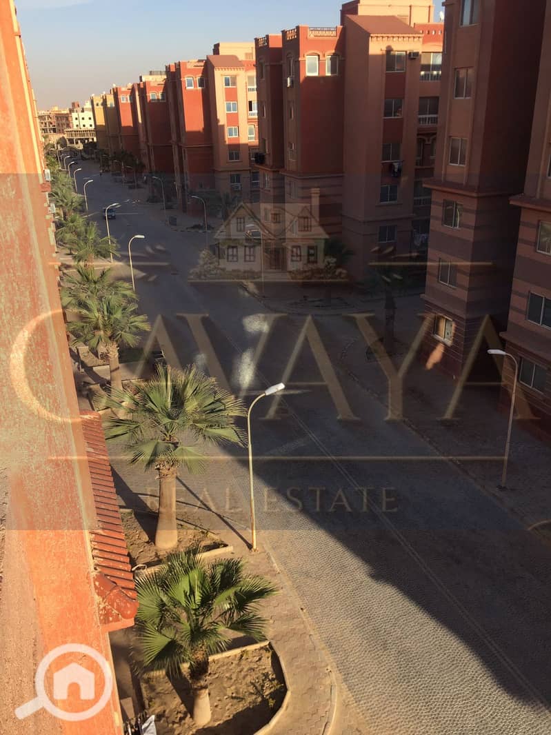 7 Untitled design (7). png