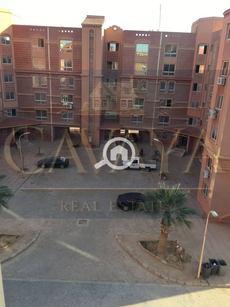 8 Untitled design (8). png