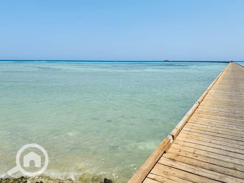 3 WhatsApp Image 2025-07-05 at 15.38. 52_33334b7d. jpg