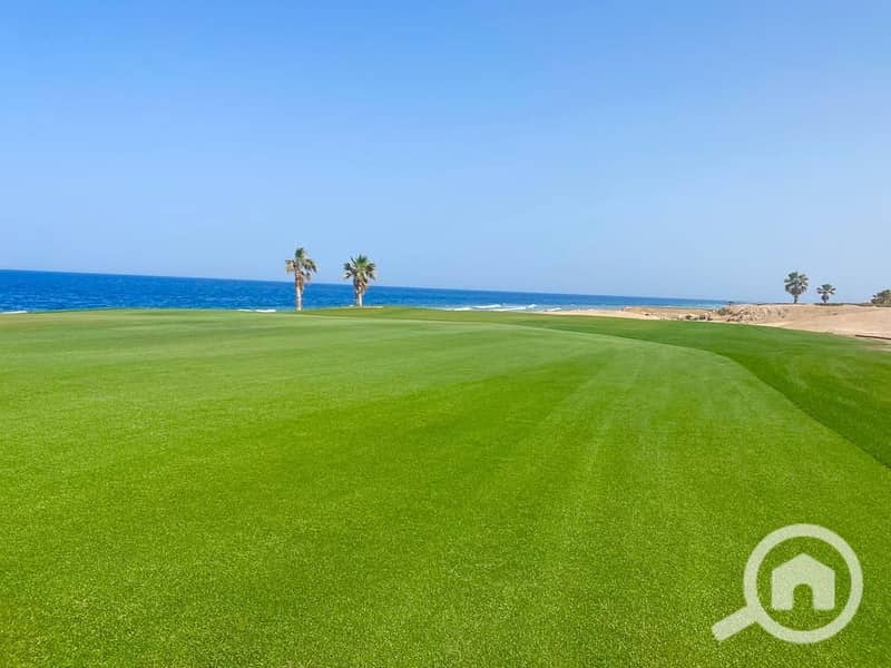 12 WhatsApp Image 2025-07-05 at 15.38. 53_ba56458b. jpg