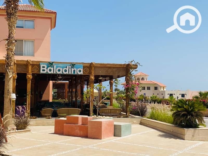 14 WhatsApp Image 2025-07-05 at 15.38. 54_70e509f7. jpg