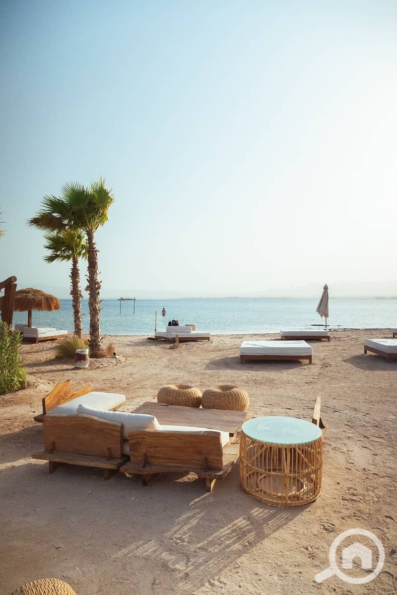 17 WhatsApp Image 2025-07-05 at 15.38. 57_097c97cf. jpg