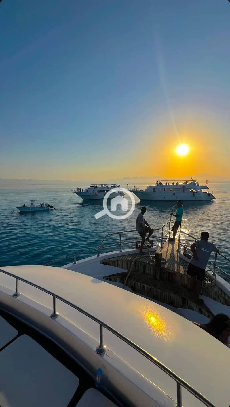 18 WhatsApp Image 2025-09-25 at 14.54. 20_d059330f. jpg