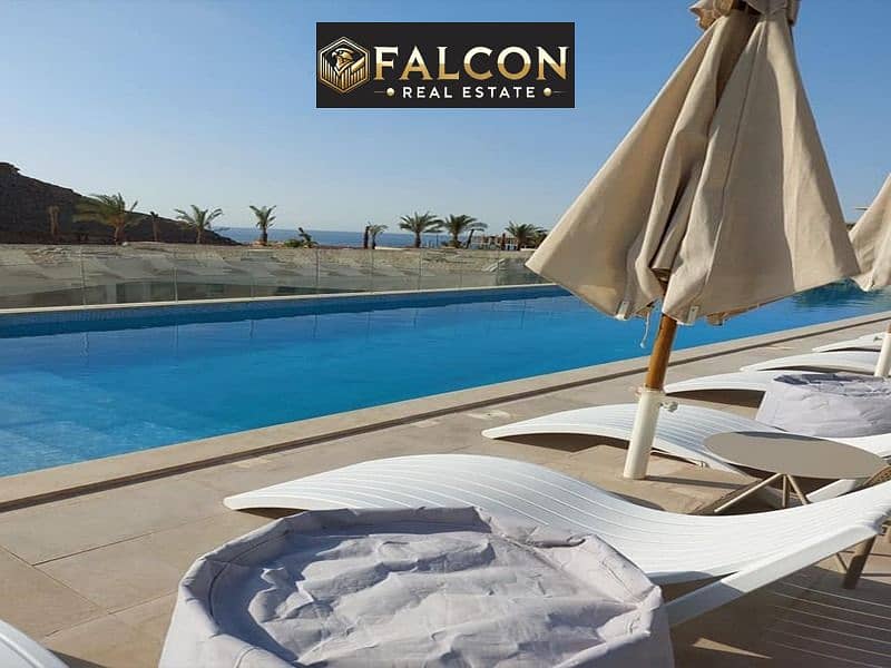 6 11c10b5e-7930-46dc-9b07-fda89f2e1584. jpg