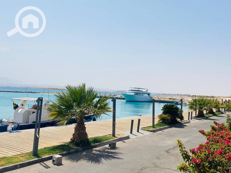 2 WhatsApp Image 2025-07-05 at 15.38. 50_f6d8cf01. jpg