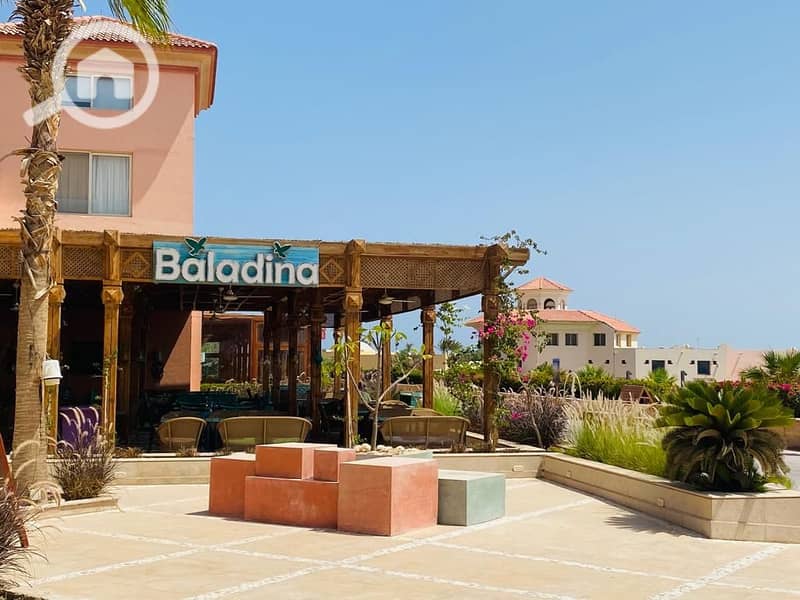 12 WhatsApp Image 2025-07-05 at 15.38. 54_70e509f7. jpg