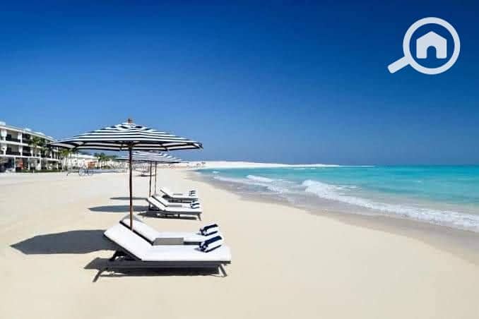 591804781. jpg 591804781. jpg